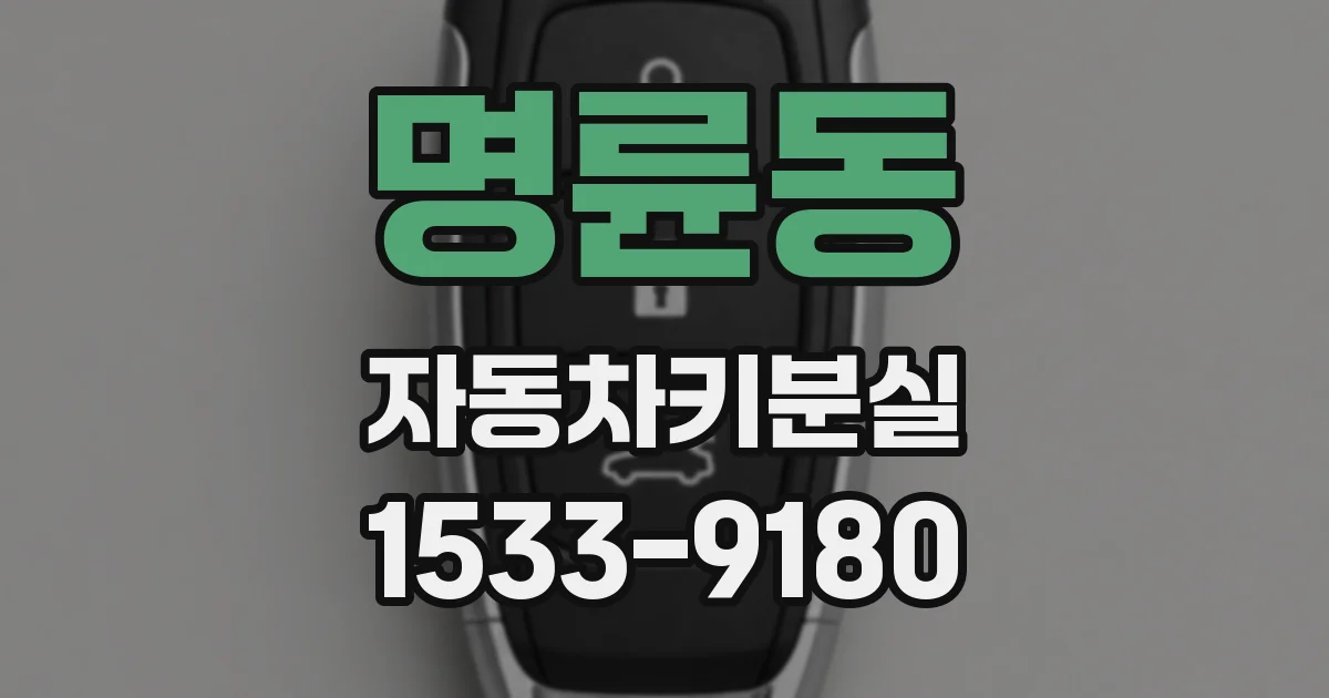 명륜동 자동차키분실