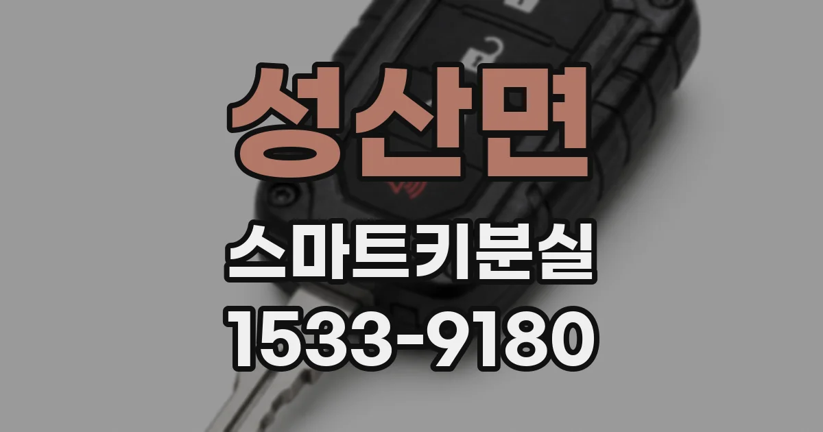 성산면 스마트키분실