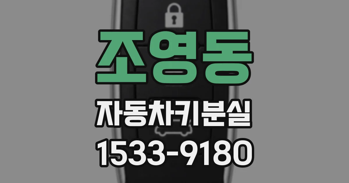 조영동 자동차키분실