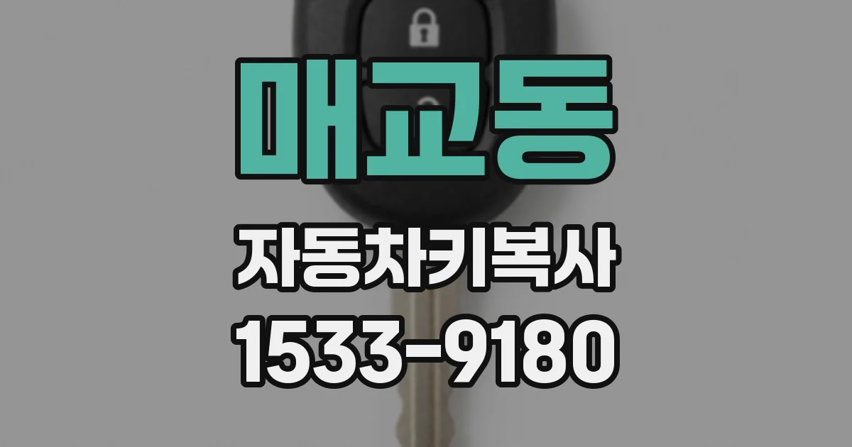 매교동 자동차키복사