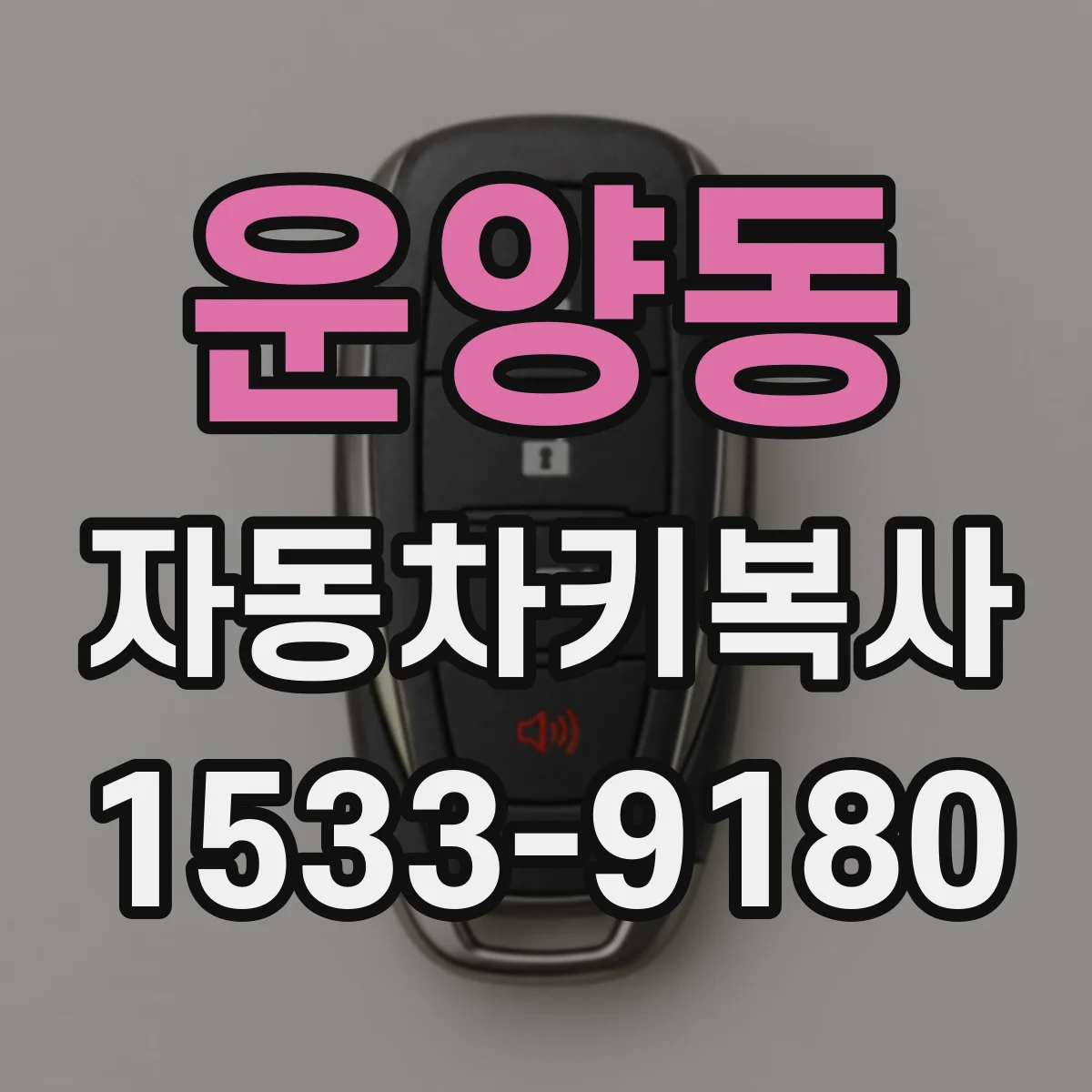 운양동 자동차키복사