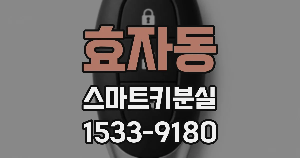 효자동 스마트키분실