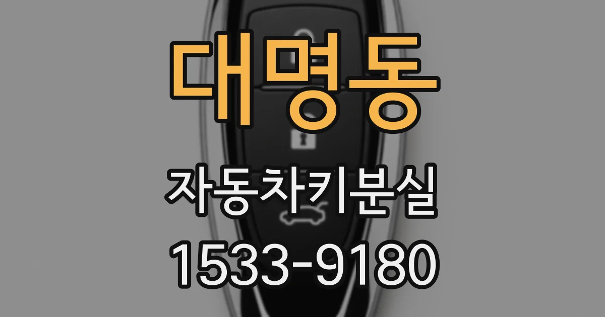 대명동 자동차키분실