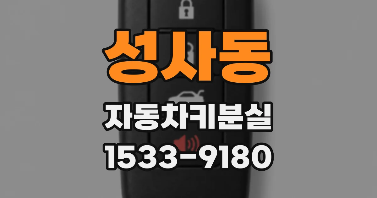 성사동 자동차키분실