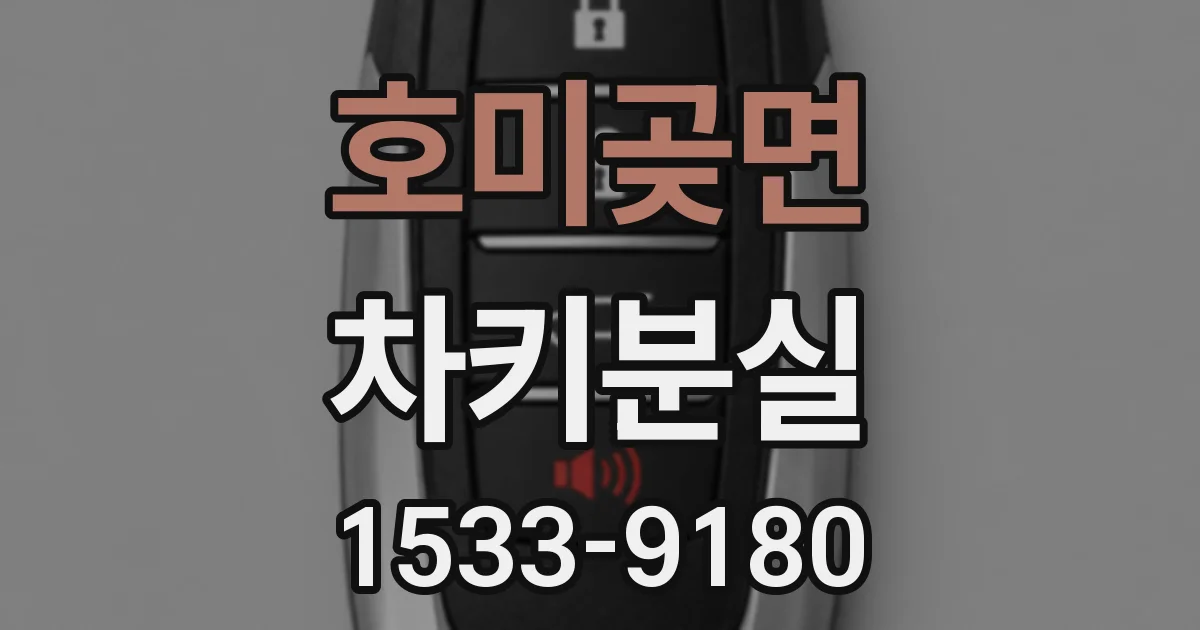 호미곶면 차키분실