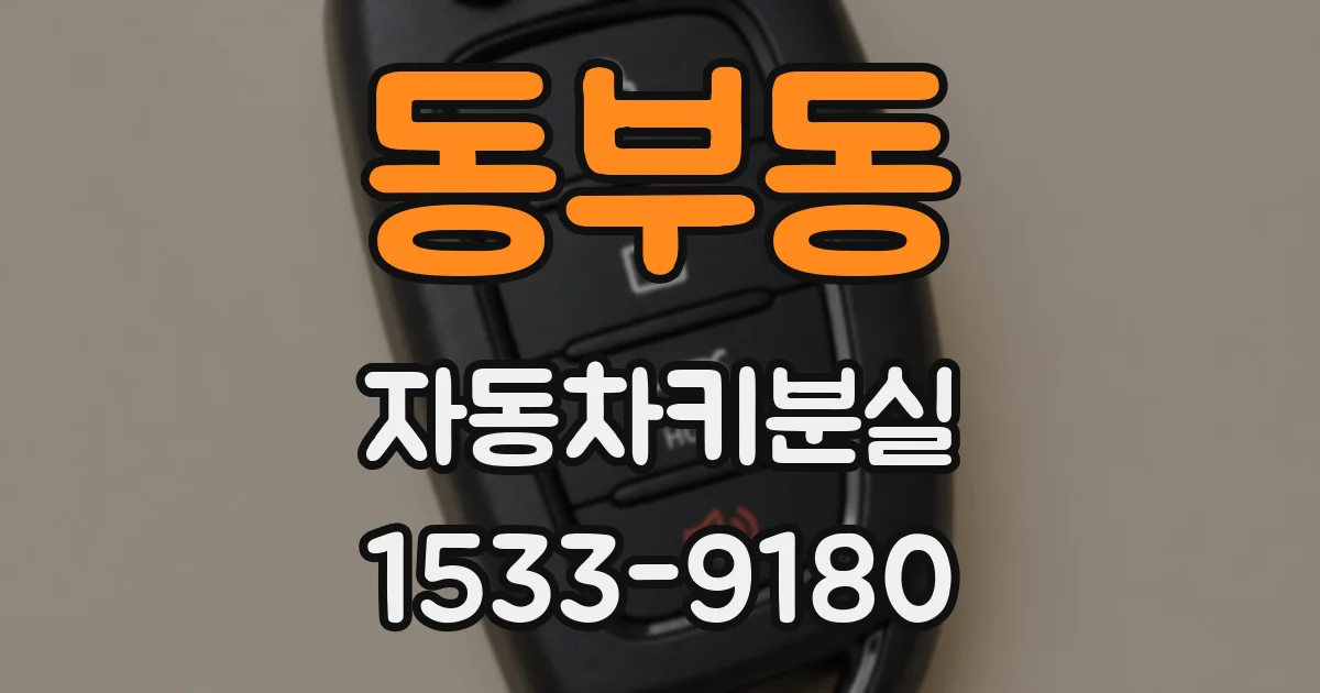 동부동 자동차키분실