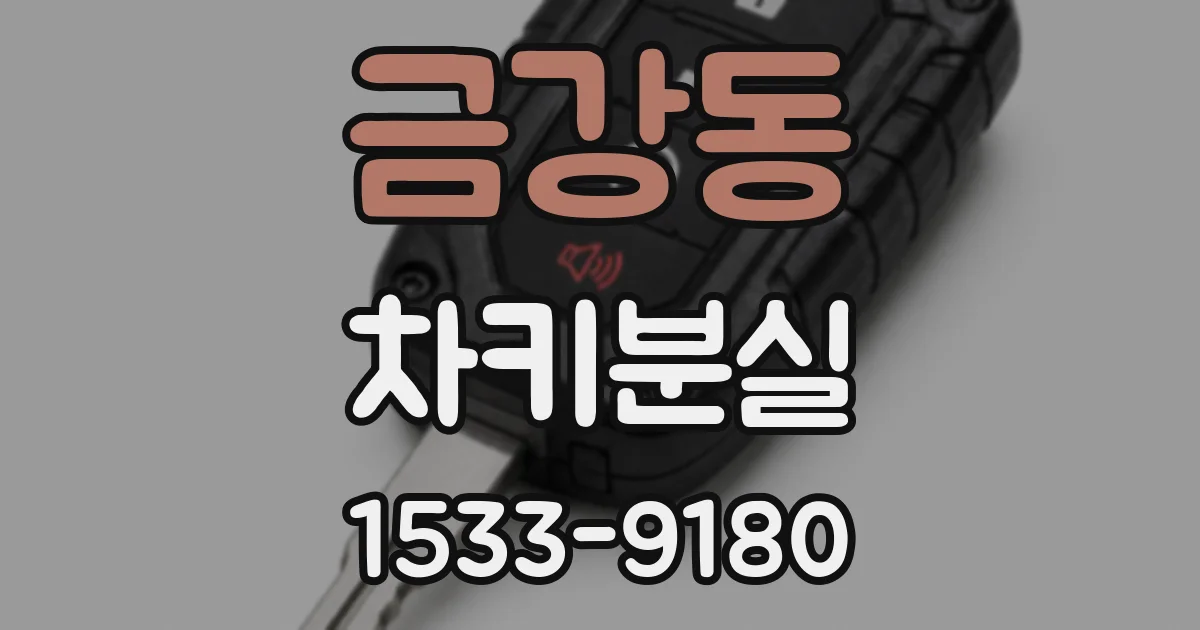 금강동 차키분실