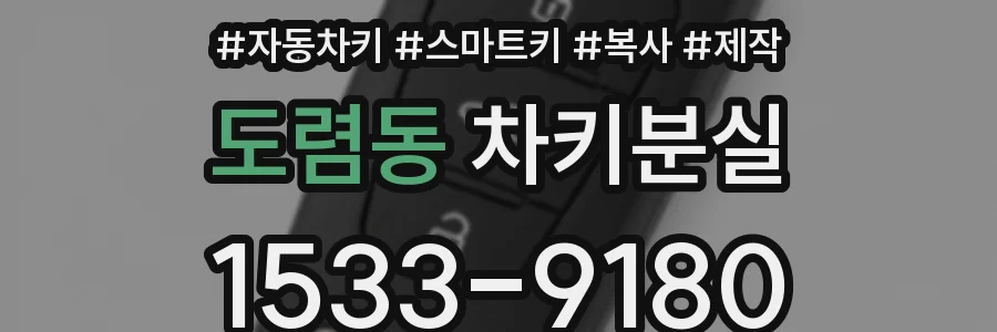 도렴동 차키분실