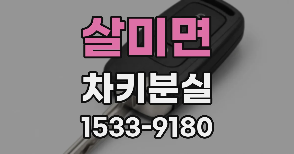 살미면 차키분실
