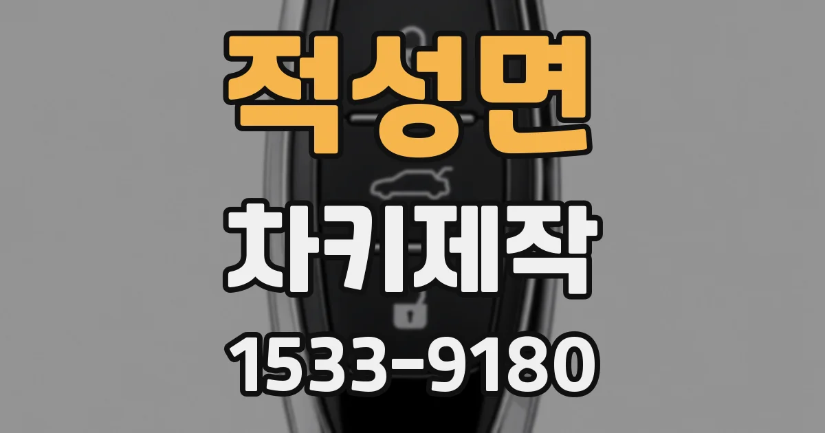 적성면 차키제작