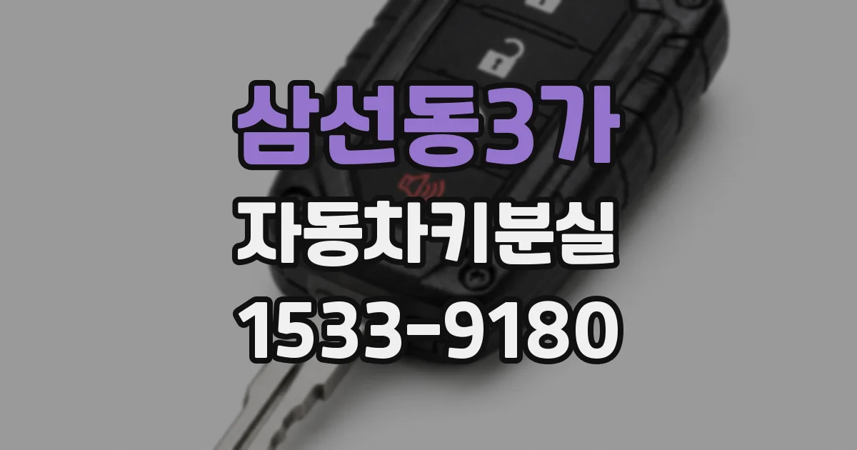 삼선동3가 자동차키분실