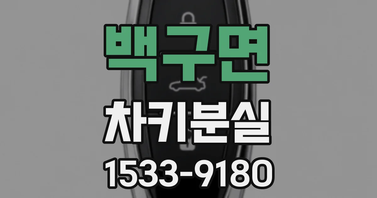 백구면 차키분실