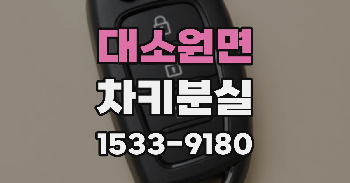 대소원면 차키분실