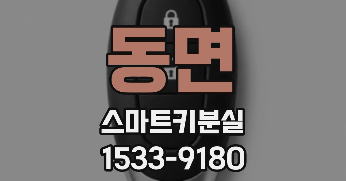 동면 스마트키분실