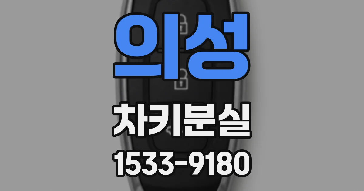 의성 차키분실