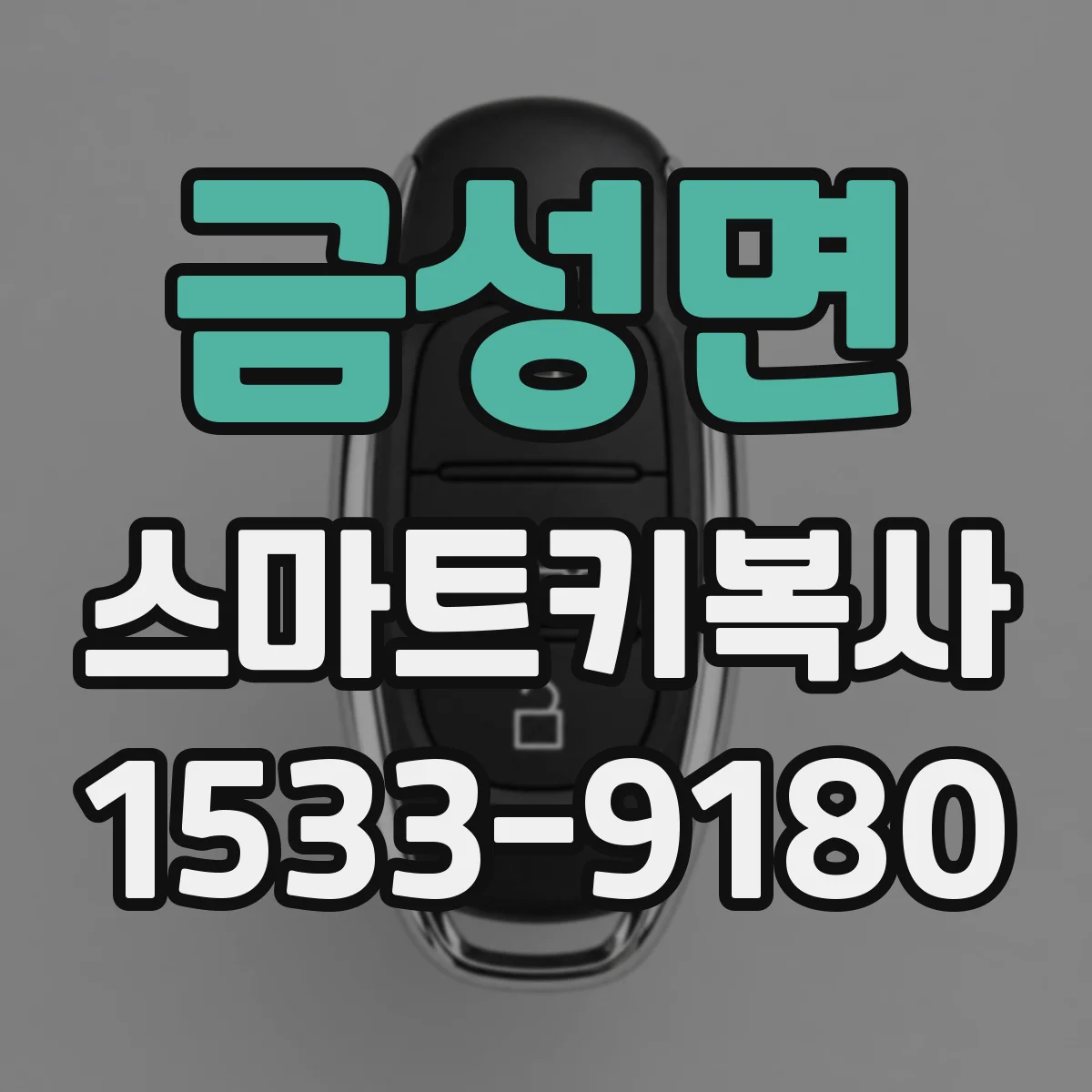 금성면 스마트키복사