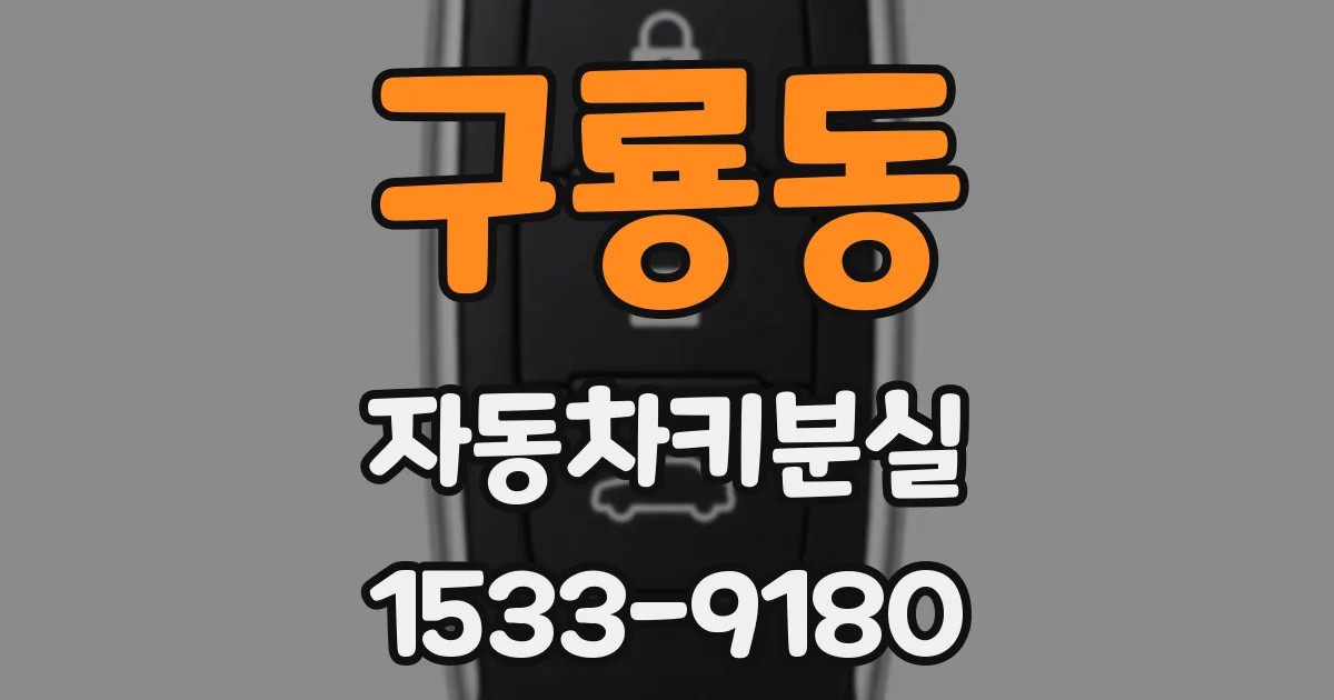 구룡동 자동차키분실