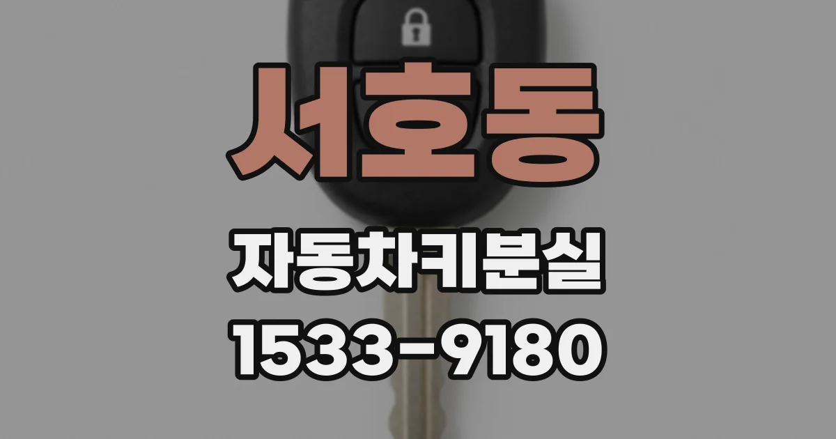 서호동 자동차키분실