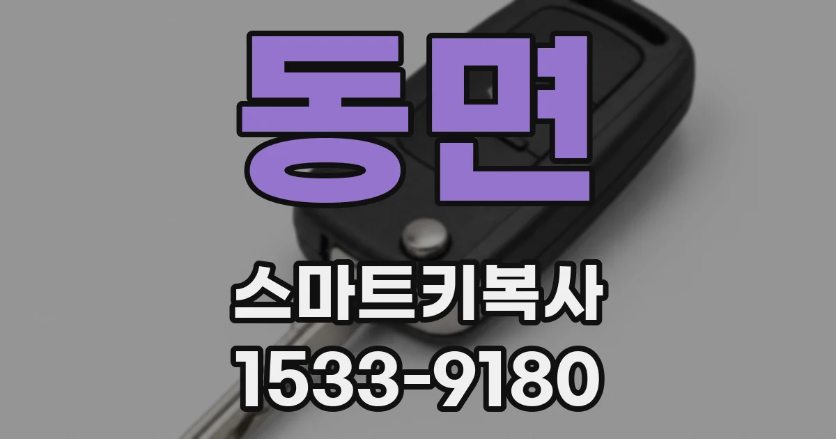 동면 스마트키복사