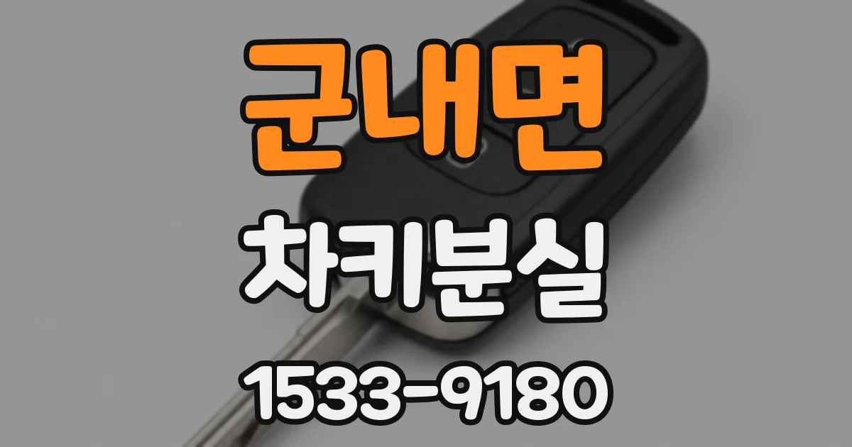 군내면 차키분실