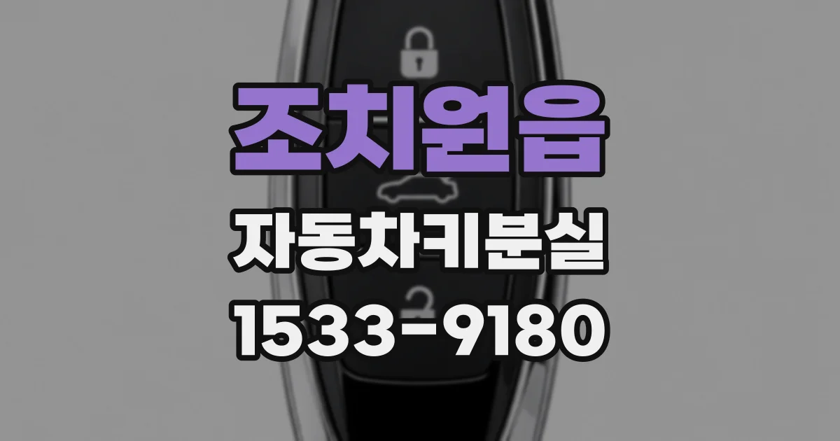 조치원읍 자동차키분실