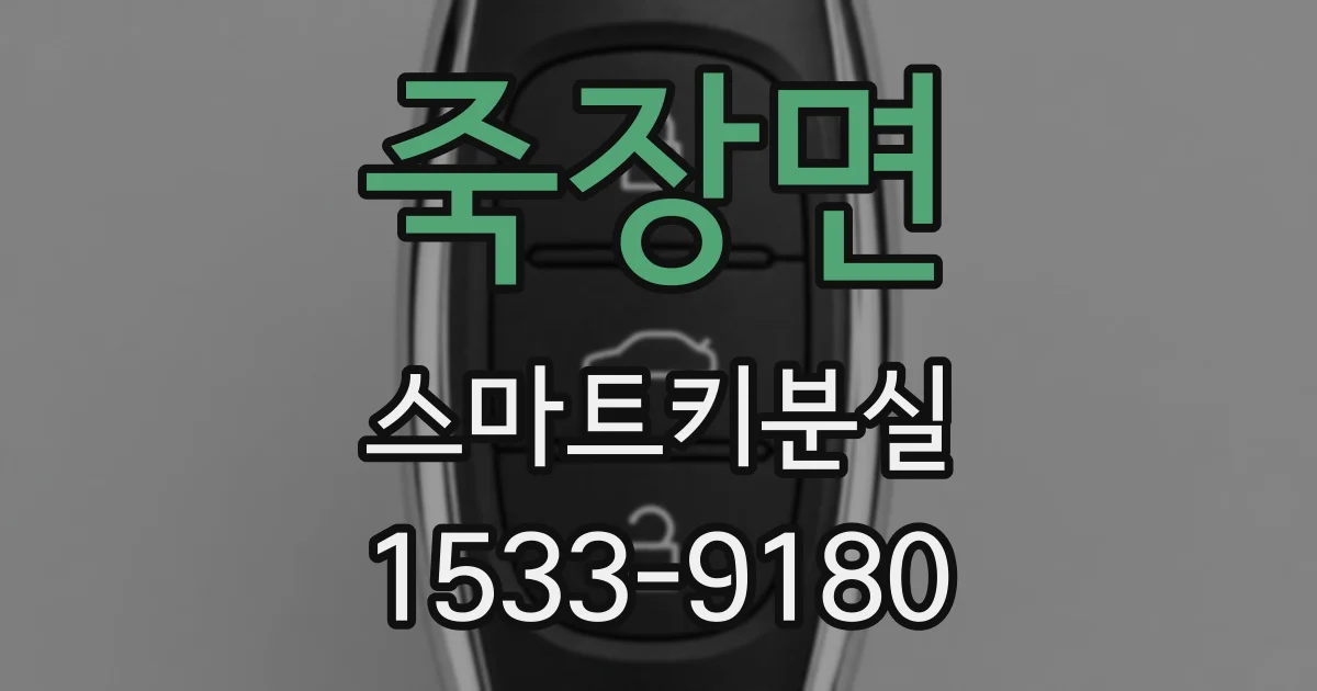 죽장면 스마트키분실