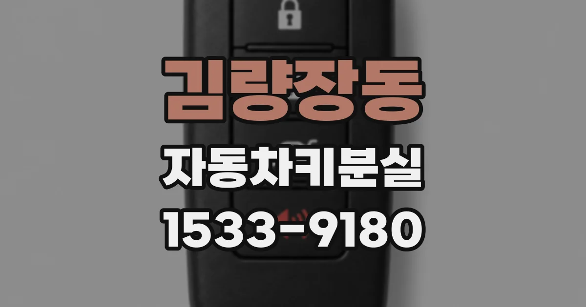 김량장동 자동차키분실
