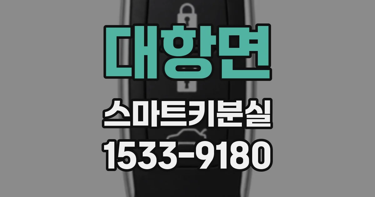 대항면 스마트키분실
