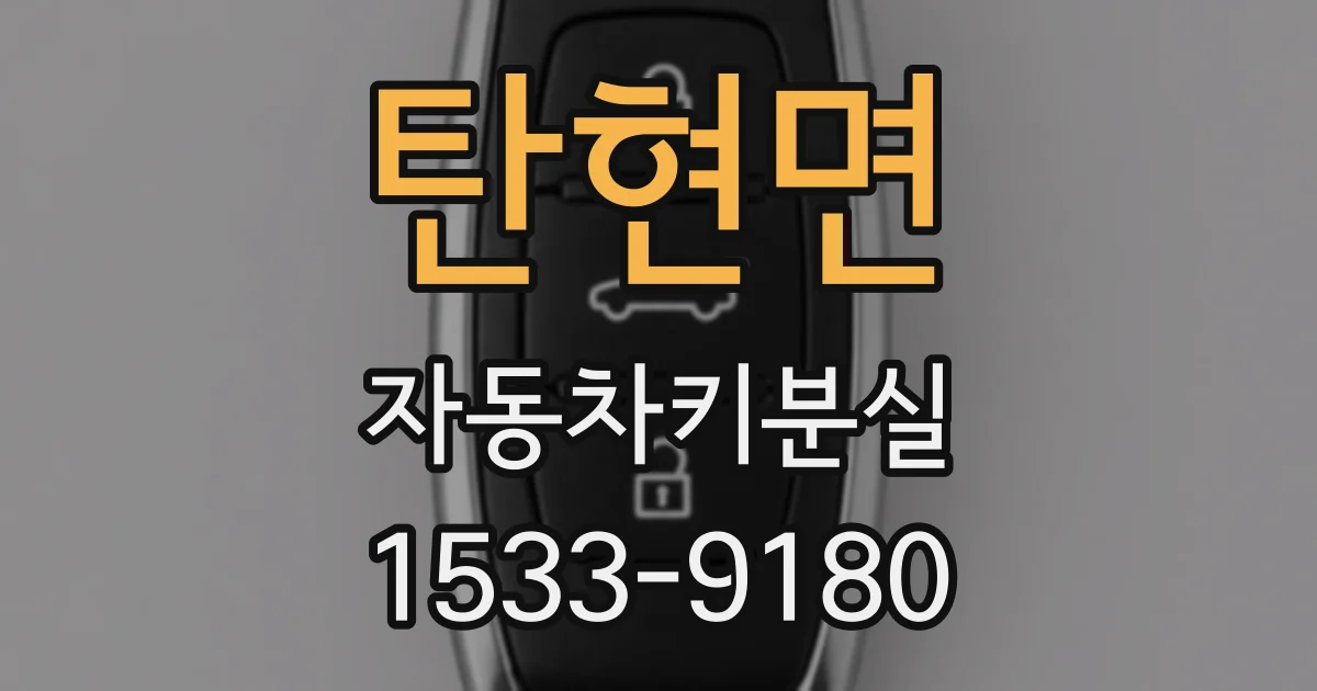 탄현면 자동차키분실