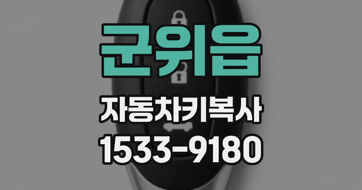 군위읍 자동차키복사