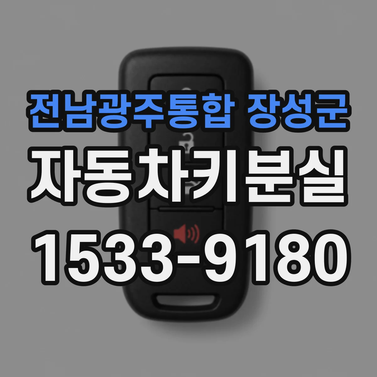 전남광주통합 장성군 자동차키분실