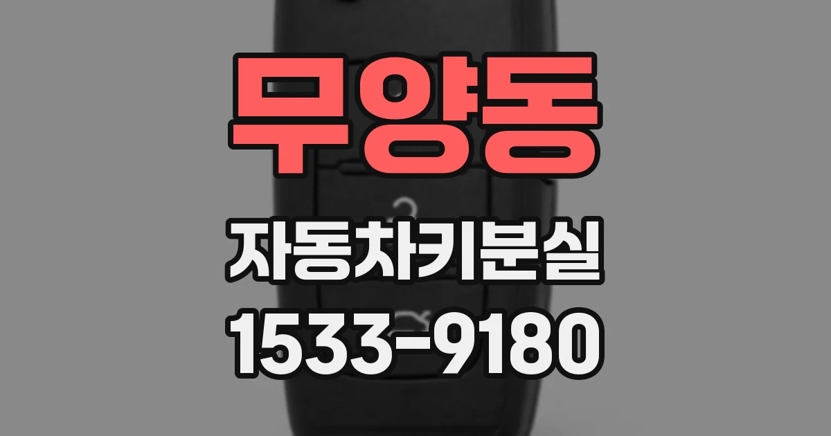 무양동 자동차키분실