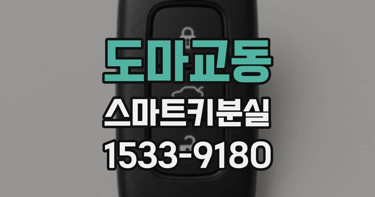 도마교동 스마트키분실