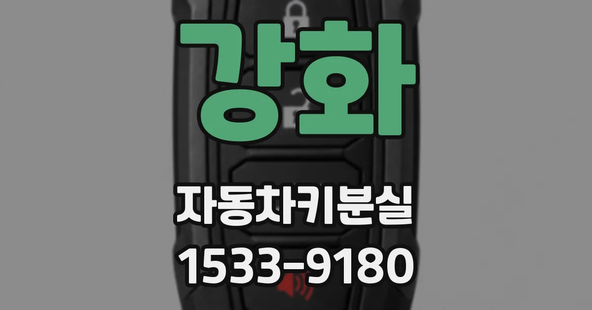 강화 자동차키분실