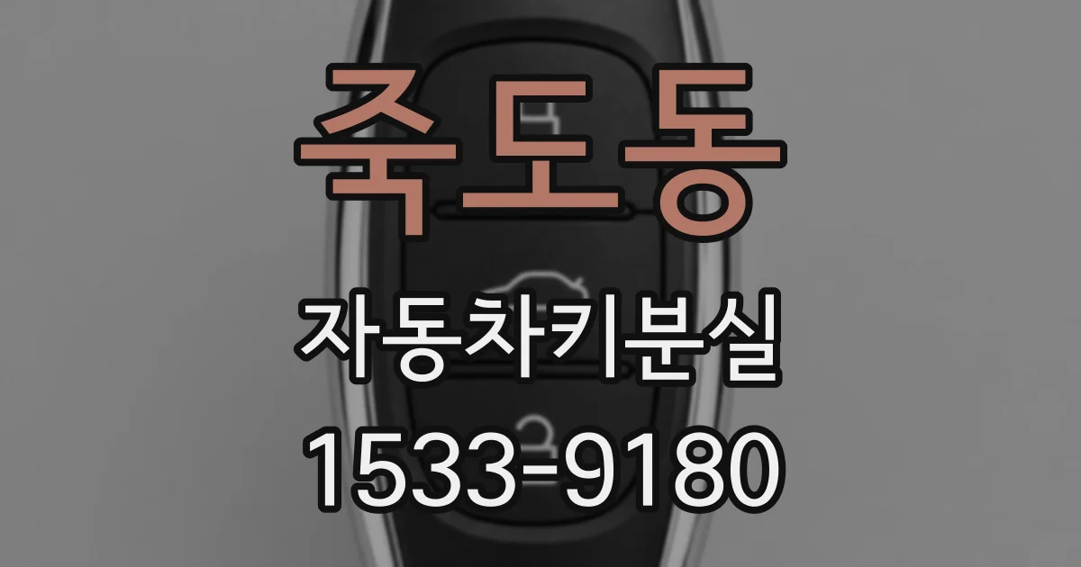 죽도동 자동차키분실
