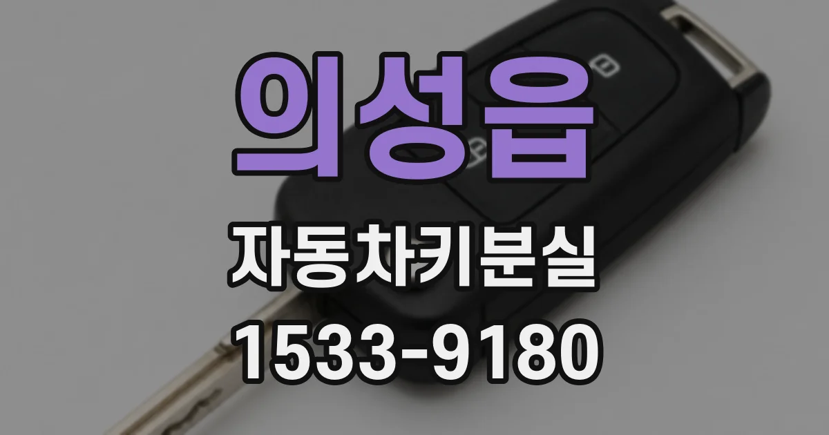의성읍 자동차키분실
