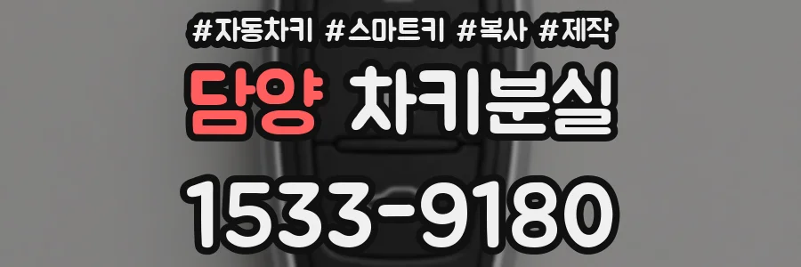 담양 차키분실