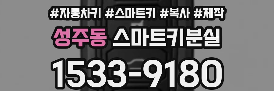 성주동 스마트키분실