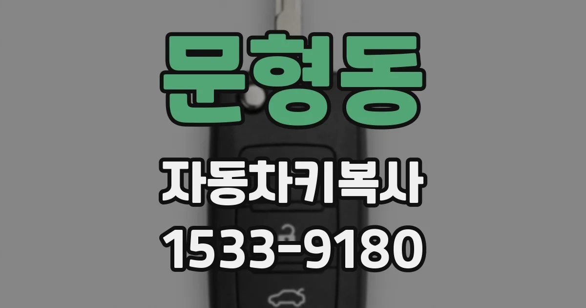 문형동 자동차키복사