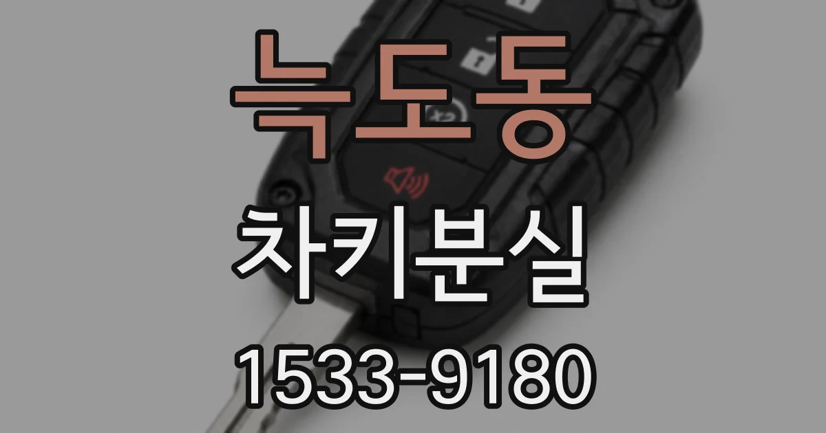 늑도동 차키분실