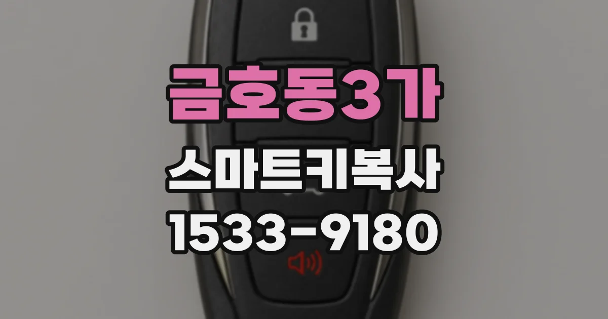 금호동3가 스마트키복사