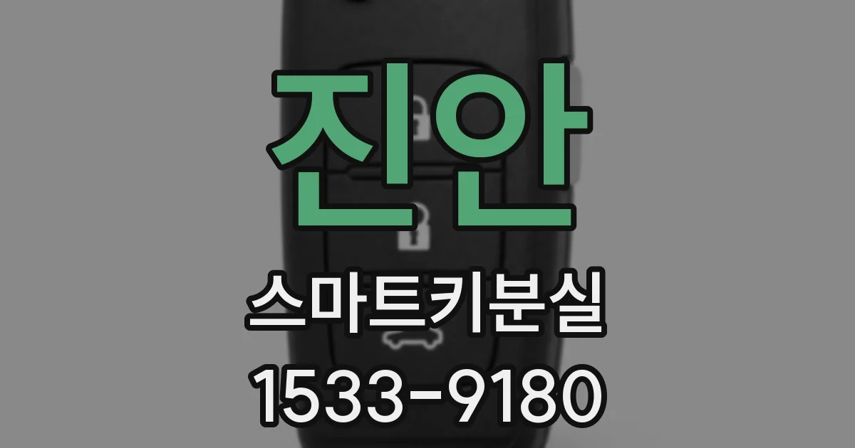 진안 스마트키분실