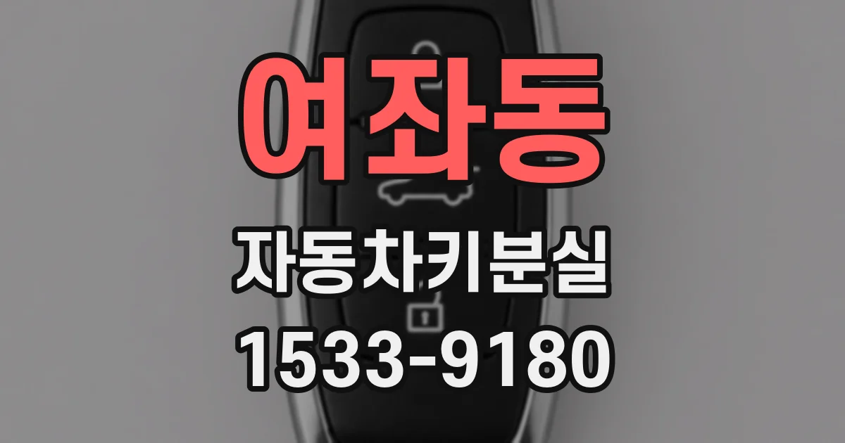 여좌동 자동차키분실