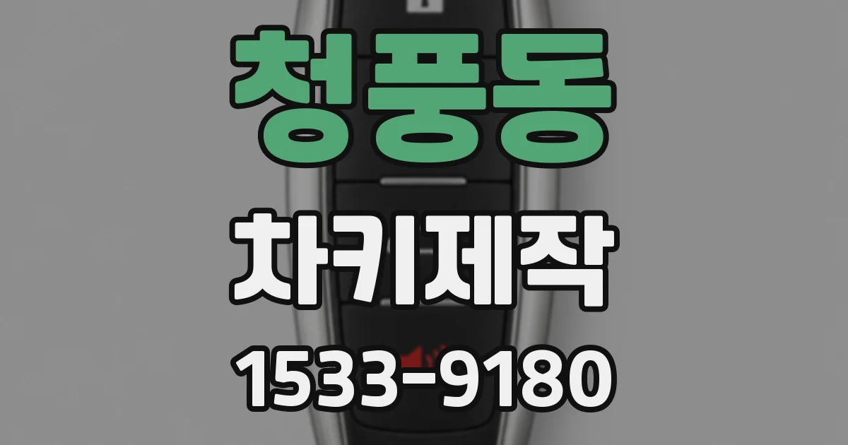 청풍동 차키제작