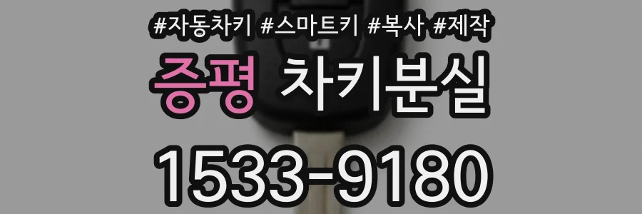 증평 차키분실