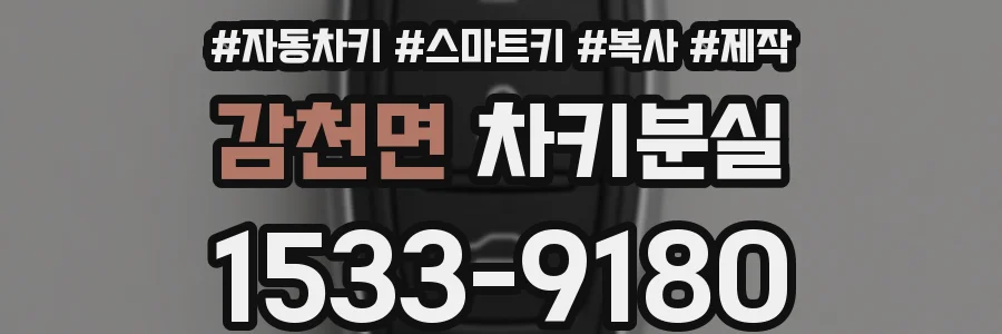 감천면 차키분실