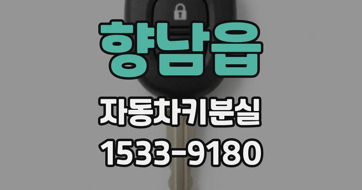 향남읍 자동차키분실