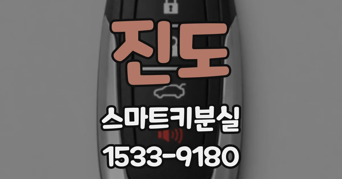 진도 스마트키분실