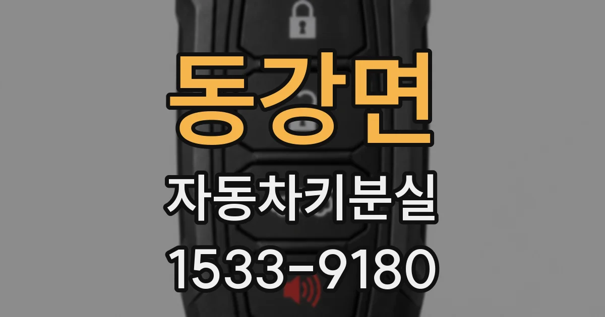 동강면 자동차키분실