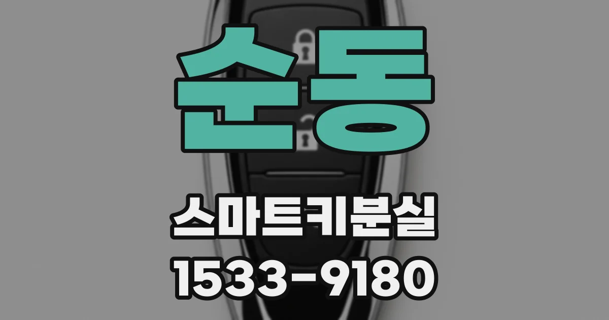 순동 스마트키분실